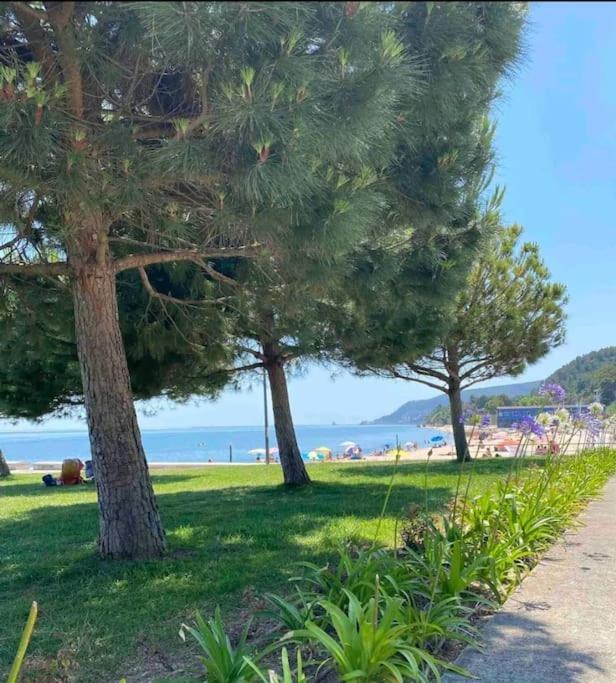 Setubal Rp House Apartamento Perto Do Mar E Comercio Na Luisa Todi Екстериор снимка